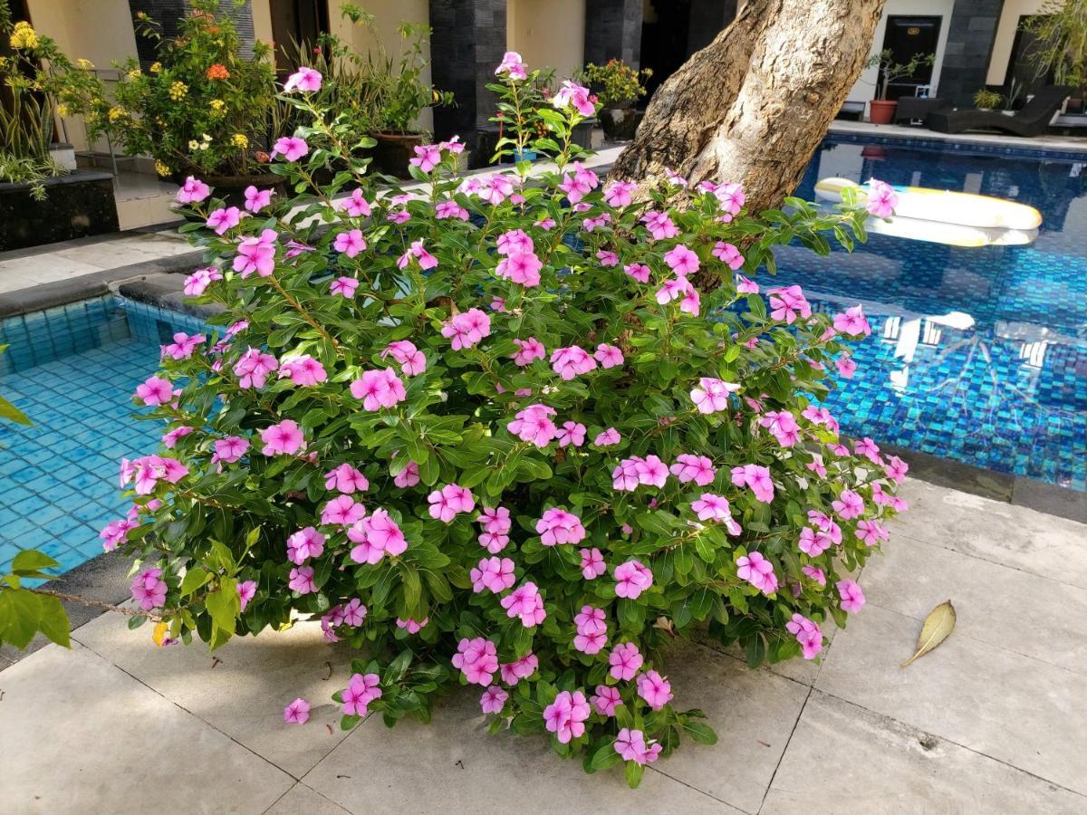 Radha Bali Hotel Kuta  Ngoại thất bức ảnh