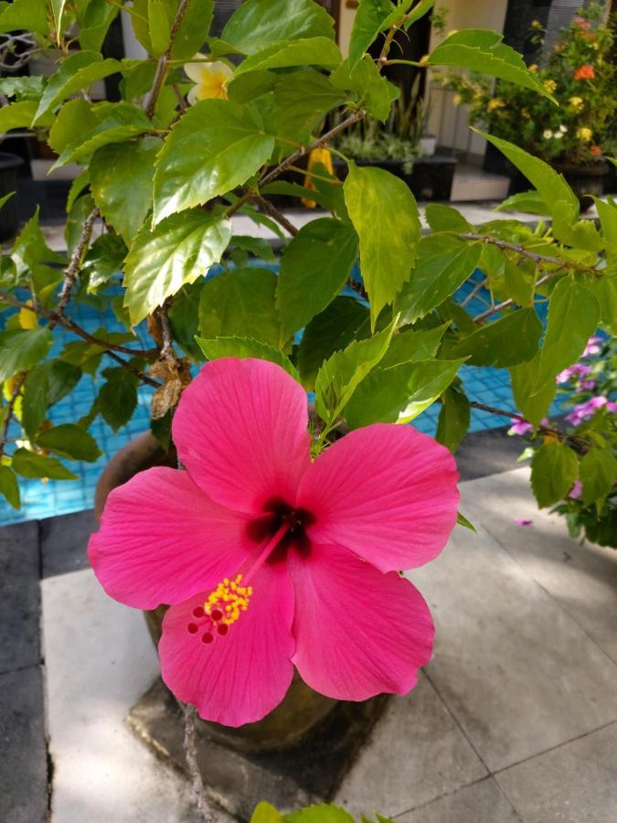 Radha Bali Hotel Kuta  Ngoại thất bức ảnh